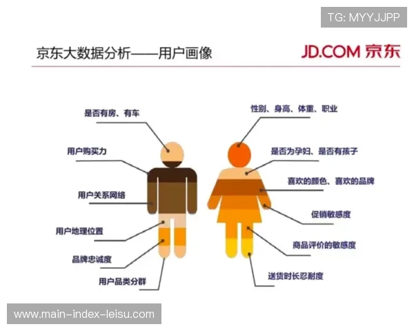 大数据用户画像系统优化，驱动内容个性化。